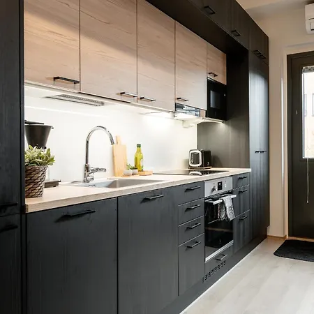 Alvari, Ilmainen Pysaekoeinti Laempimaessae Autohallissa, Free Parking In Warm Garage 公寓 *